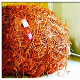 90 - The Significance of Recycling Baling Twine