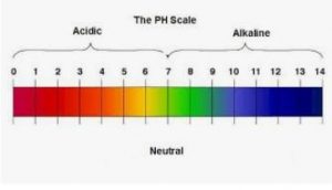 127 300x172 - Pocket pH Meter Adelaide for Acid and Base Testing