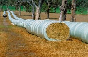 145 300x195 - The Increasing Reliance on Silage Wrap