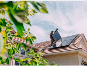 solar panels