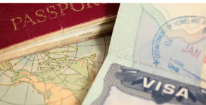 migration agent Brisbane