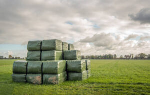 Silage Covers