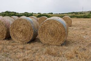baler twine