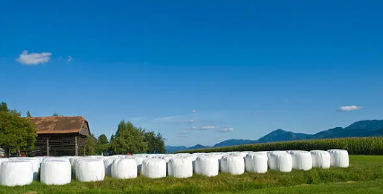 silage plastic
